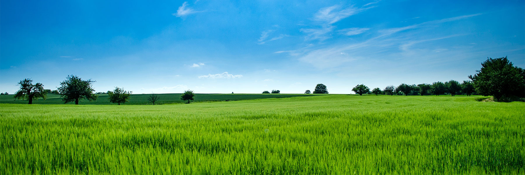 Beratung bei ZIM-Projekten